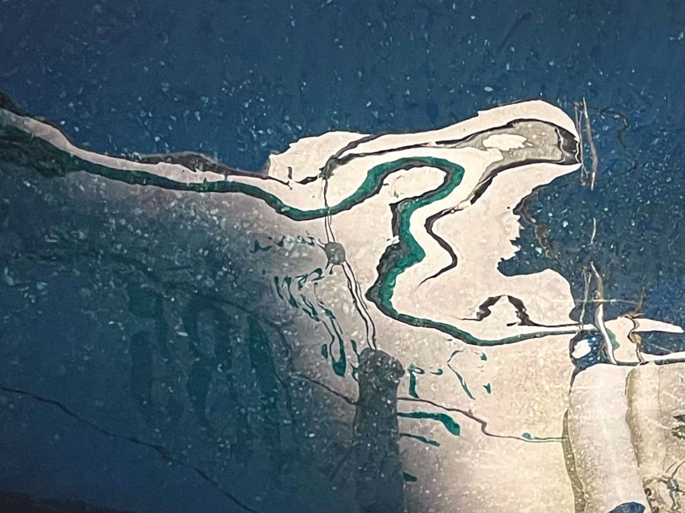 Un fier oiseau blanc